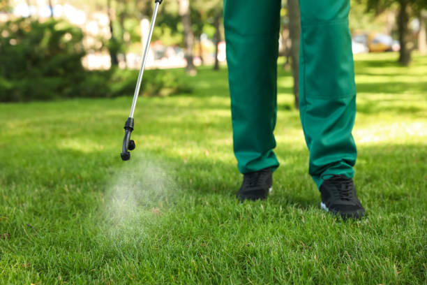 Professional Pest Control in Endwell, NY