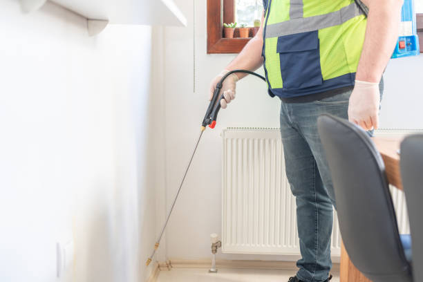 Best Emergency Pest Control  in Endwell, NY