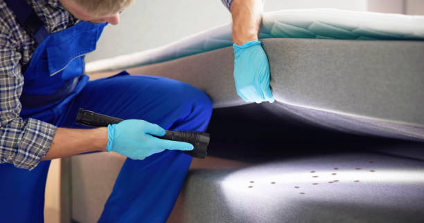 Best Best Pest Control Companies  in Endwell, NY