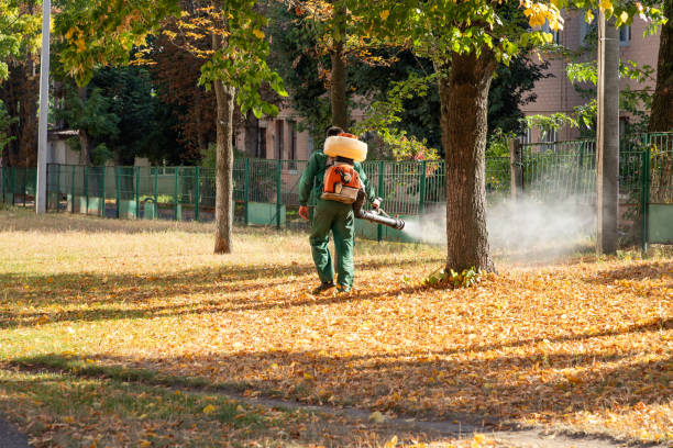Best Bird Control  in Endwell, NY
