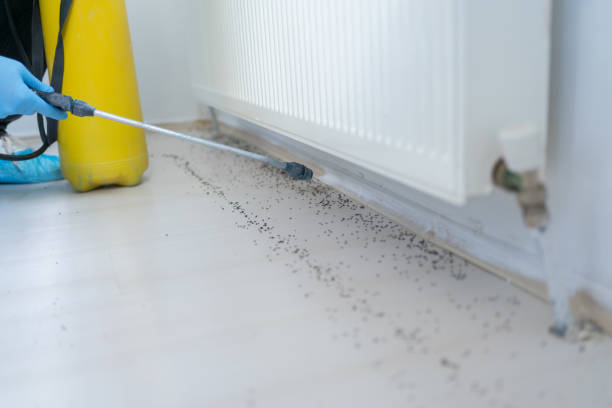 Best Residential Pest Control  in Endwell, NY