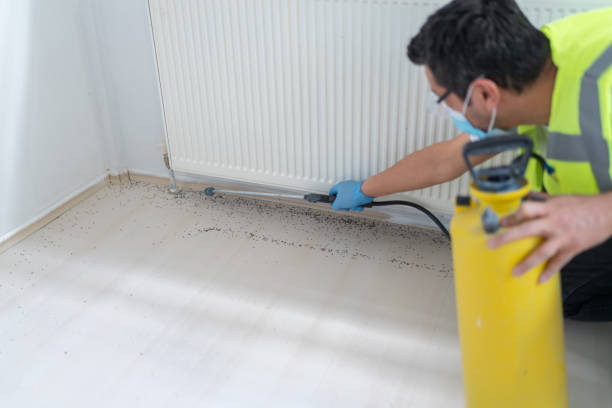 Best Flea Control Services  in Endwell, NY