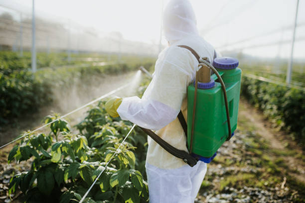 Best Mosquito Control Services  in Endwell, NY